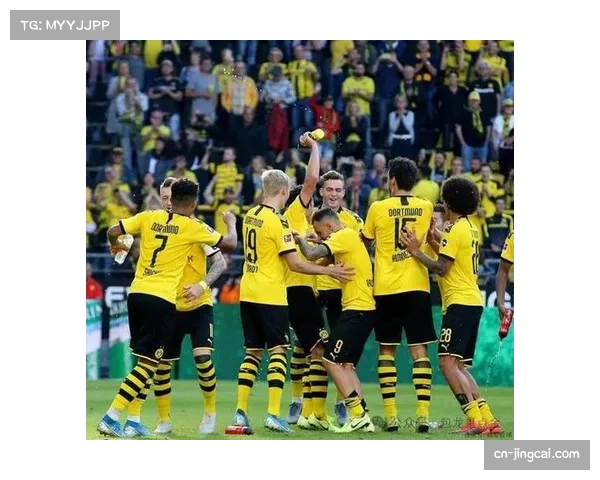 荷甲球队欧冠阵容深度观察 青年军出战欧战经验积累